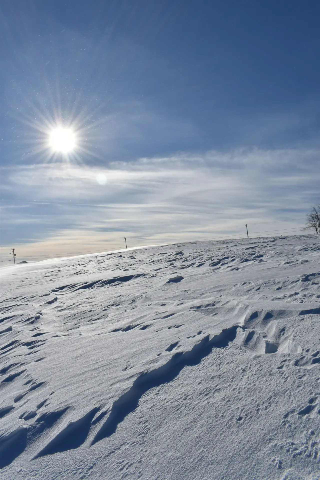 the sun is shining over a snowy field