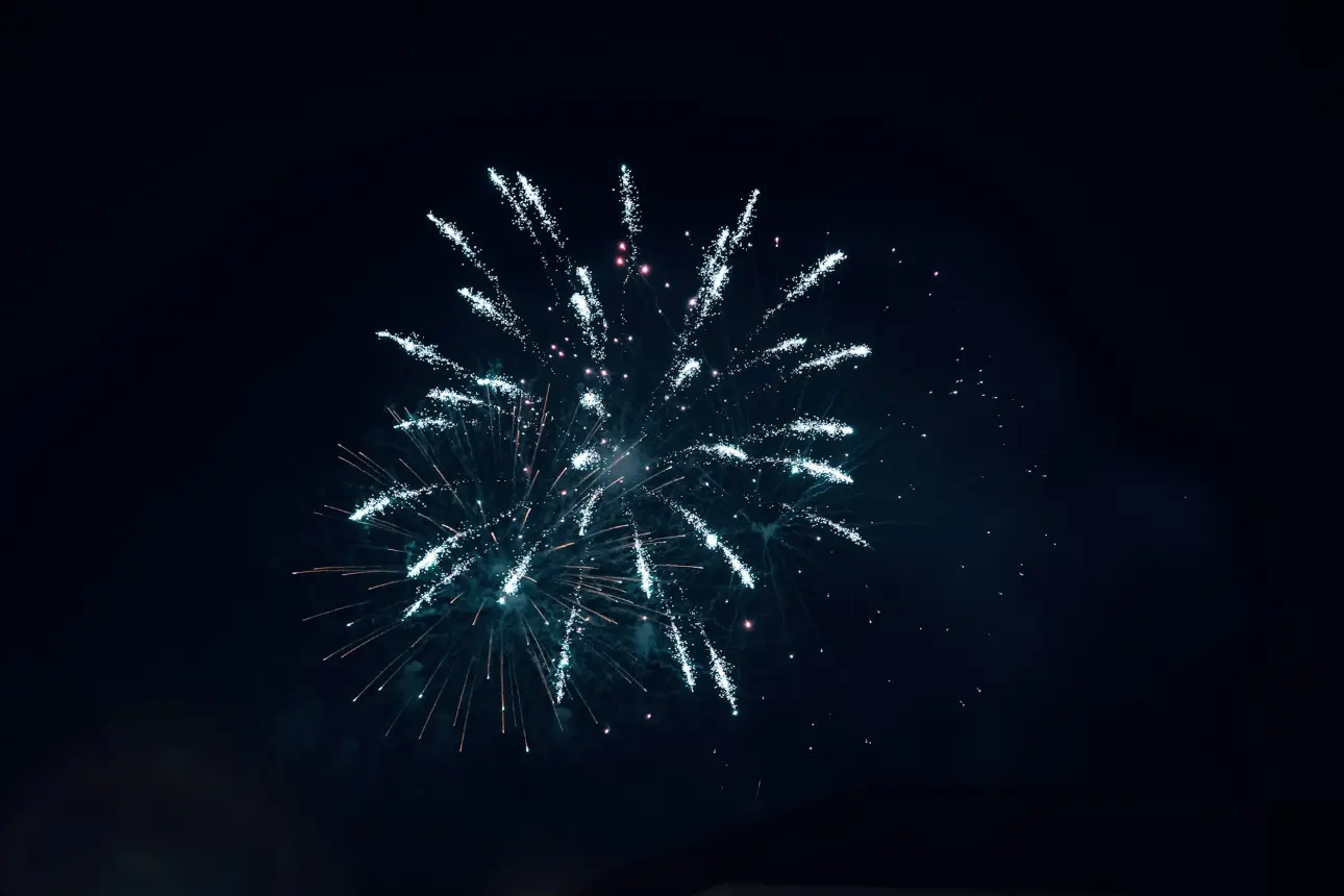 a large fireworks is lit up in the night sky